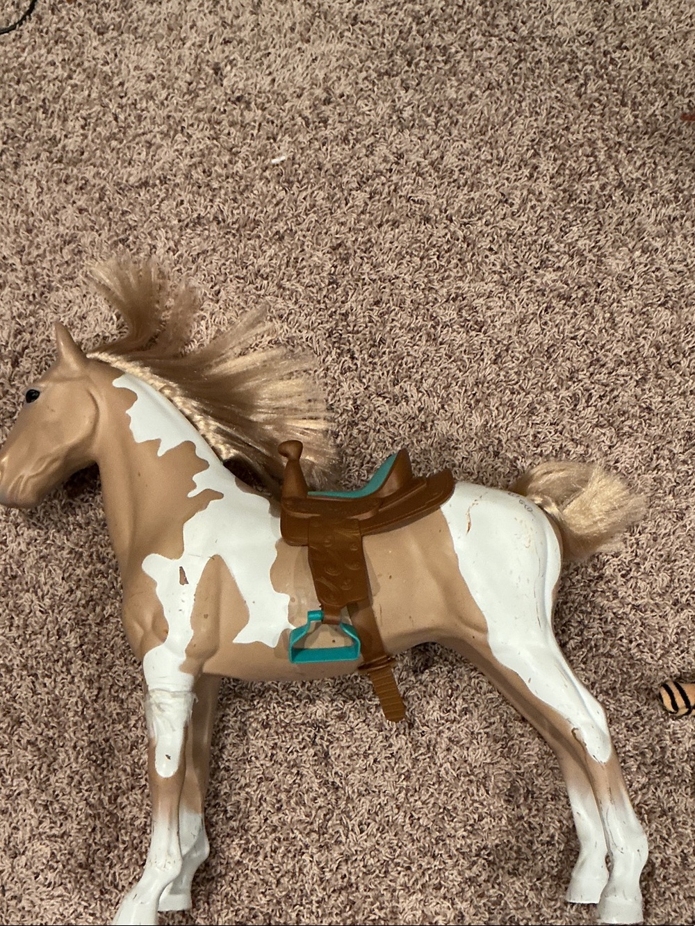 Tan and white horse